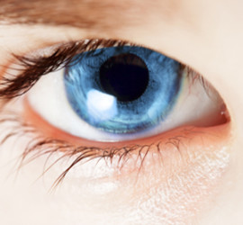 Macro of a blue human eye looking at camera.